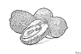 litchi Faqe Ngjyrosëse Të Printueshme